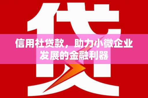 洛扎信用社贷款，助力小微企业发展的金融利器