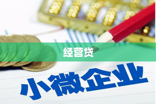 洛扎经营贷