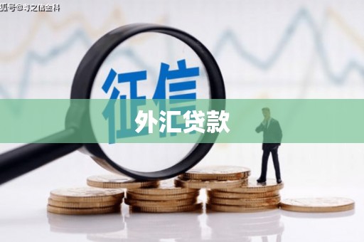 洛扎外汇贷款