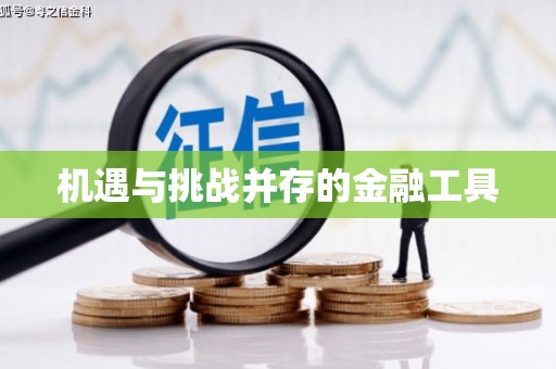 洛扎机遇与挑战并存的金融工具