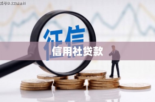 洛扎信用社贷款