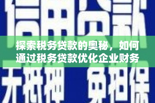 洛扎探索税务贷款的奥秘，如何通过税务贷款优化企业财务