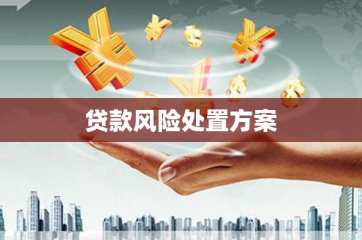 洛扎贷款风险处置方案