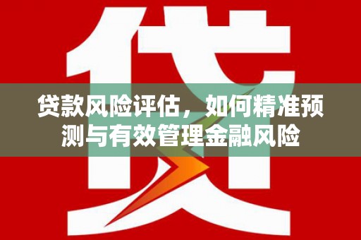 洛扎贷款风险评估，如何精准预测与有效管理金融风险