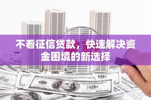 洛扎不看征信贷款，快速解决资金困境的新选择
