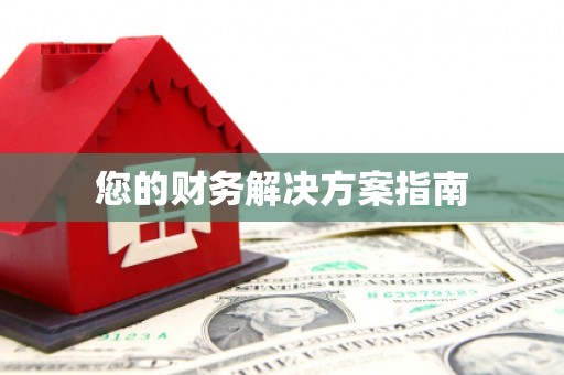 洛扎您的财务解决方案指南
