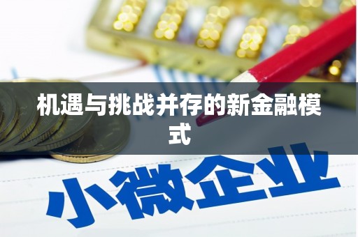 洛扎机遇与挑战并存的新金融模式