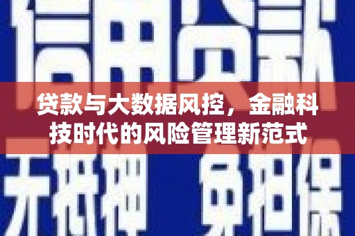 洛扎贷款与大数据风控，金融科技时代的风险管理新范式