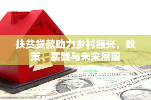 洛扎扶贫贷款助力乡村振兴，政策、实践与未来展望