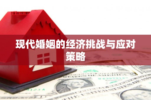 洛扎现代婚姻的经济挑战与应对策略