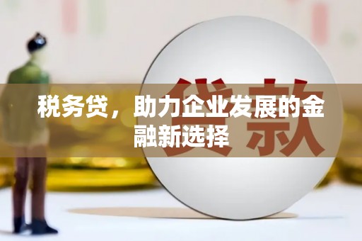 洛扎税务贷，助力企业发展的金融新选择