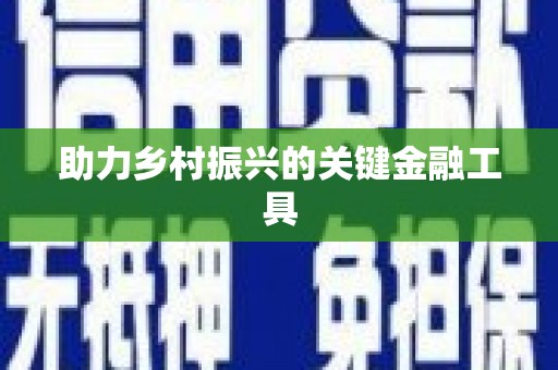 洛扎助力乡村振兴的关键金融工具