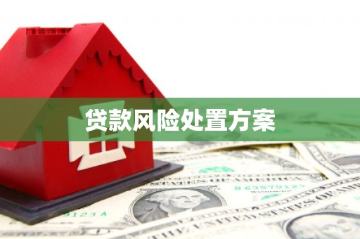 洛扎贷款风险处置方案