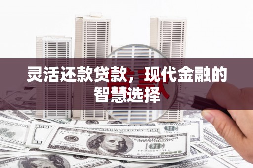 洛扎灵活还款贷款，现代金融的智慧选择