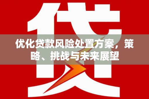 洛扎优化贷款风险处置方案，策略、挑战与未来展望
