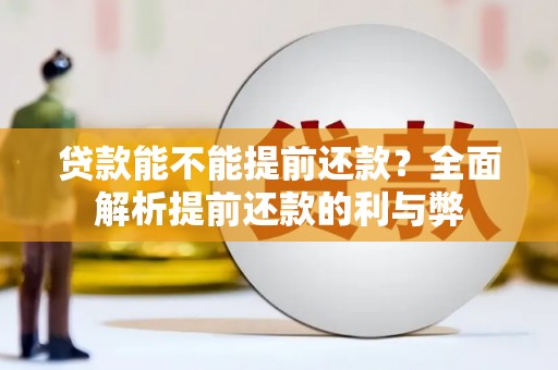 洛扎贷款能不能提前还款？全面解析提前还款的利与弊