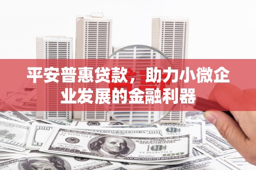 洛扎平安普惠贷款，助力小微企业发展的金融利器
