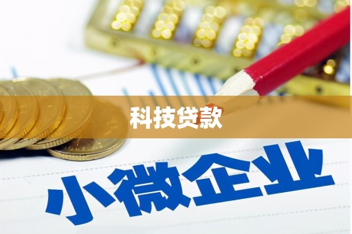 洛扎科技贷款