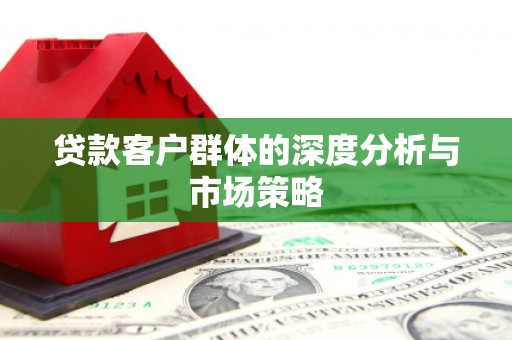 洛扎贷款客户群体的深度分析与市场策略