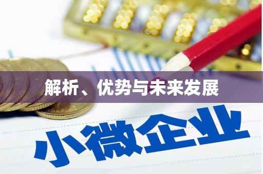 洛扎解析、优势与未来发展