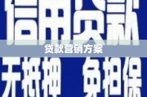 洛扎贷款营销方案