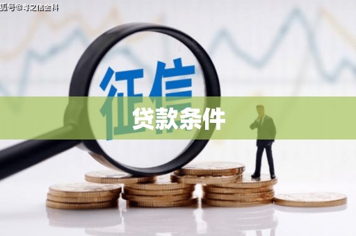 洛扎贷款条件
