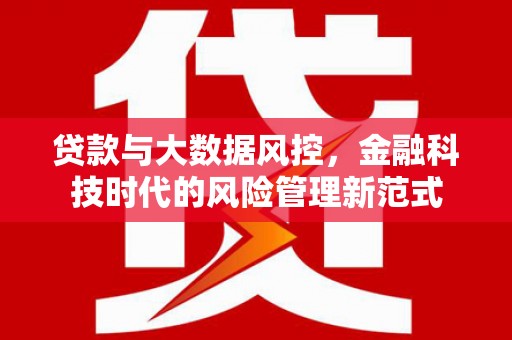洛扎贷款与大数据风控，金融科技时代的风险管理新范式