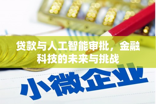 洛扎贷款与人工智能审批，金融科技的未来与挑战