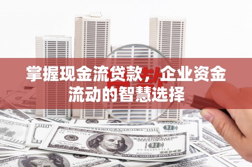 洛扎掌握现金流贷款，企业资金流动的智慧选择