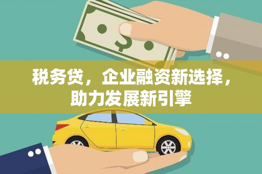 洛扎税务贷，企业融资新选择，助力发展新引擎