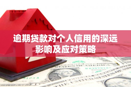 洛扎逾期贷款对个人信用的深远影响及应对策略