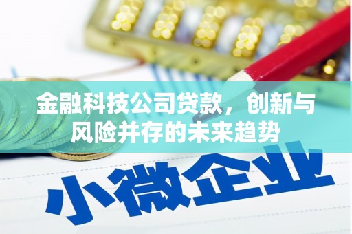 洛扎金融科技公司贷款，创新与风险并存的未来趋势