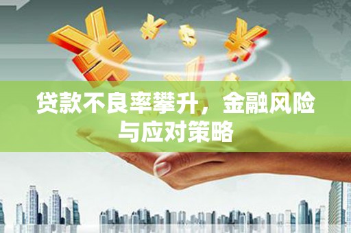 洛扎贷款不良率攀升，金融风险与应对策略