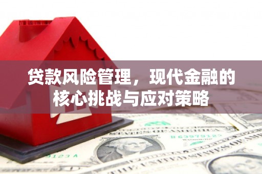 洛扎贷款风险管理，现代金融的核心挑战与应对策略