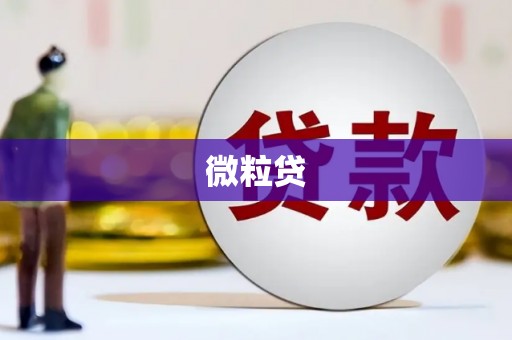洛扎微粒贷