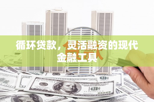 洛扎循环贷款，灵活融资的现代金融工具