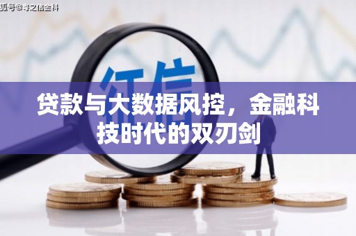 洛扎贷款与大数据风控，金融科技时代的双刃剑