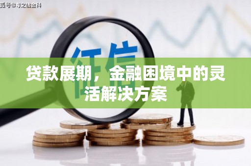 洛扎贷款展期，金融困境中的灵活解决方案