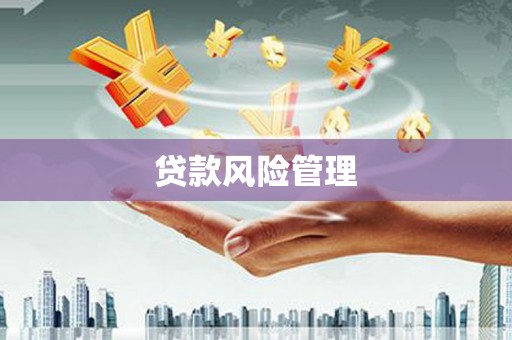 洛扎贷款风险管理