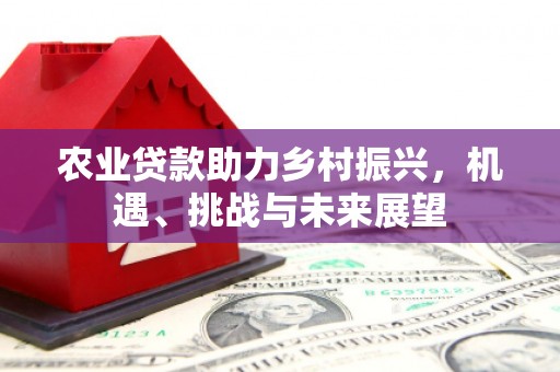 洛扎农业贷款助力乡村振兴，机遇、挑战与未来展望