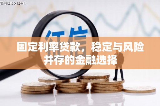 洛扎固定利率贷款，稳定与风险并存的金融选择