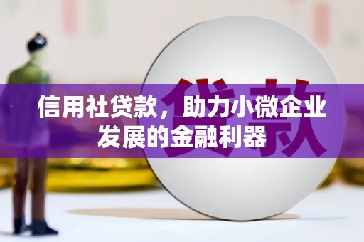 洛扎信用社贷款，助力小微企业发展的金融利器