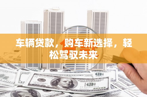 洛扎车辆贷款，购车新选择，轻松驾驭未来