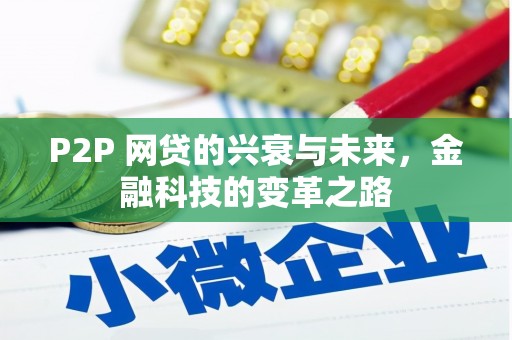 洛扎P2P 网贷的兴衰与未来，金融科技的变革之路