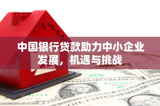 洛扎中国银行贷款助力中小企业发展，机遇与挑战