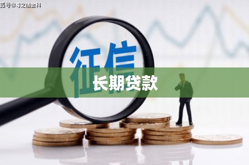 洛扎长期贷款