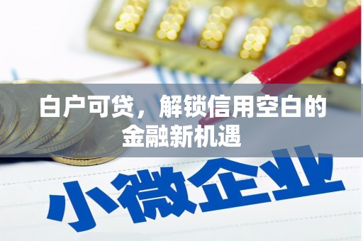 洛扎白户可贷，解锁信用空白的金融新机遇