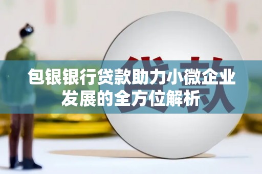 洛扎包银银行贷款助力小微企业发展的全方位解析