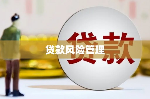 洛扎贷款风险管理