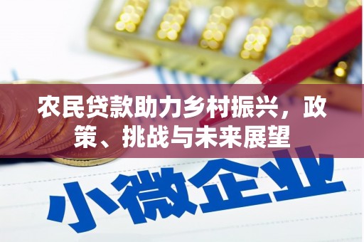 洛扎农民贷款助力乡村振兴，政策、挑战与未来展望